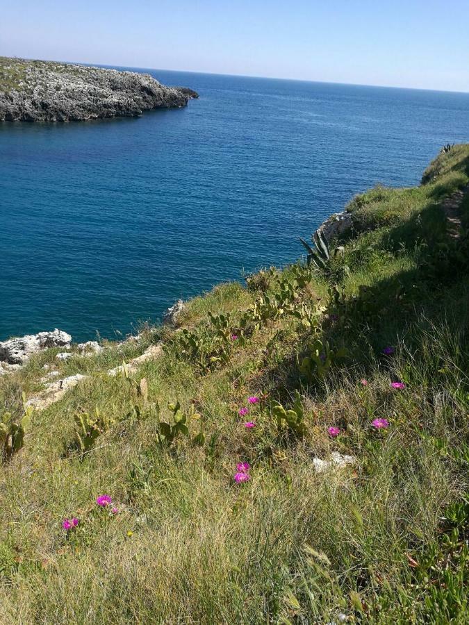 Badisco Vacanze Otranto Bagian luar foto